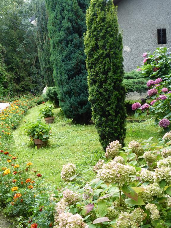 Au Coeur De La Campagne - Gite Non Loins D'Annecy- A 17 Min D'Annecy - Tout Pret D'Aix Les Bains Saint-Girod Buitenkant foto